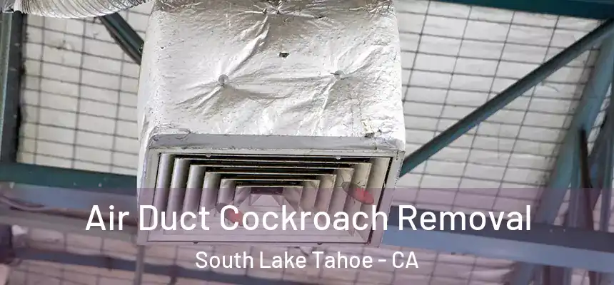  Air Duct Cockroach Removal South Lake Tahoe - CA