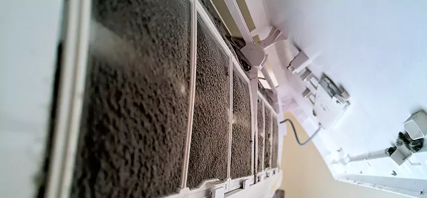 Preventive Air Duct Bacteria Removal in South Lake Tahoe