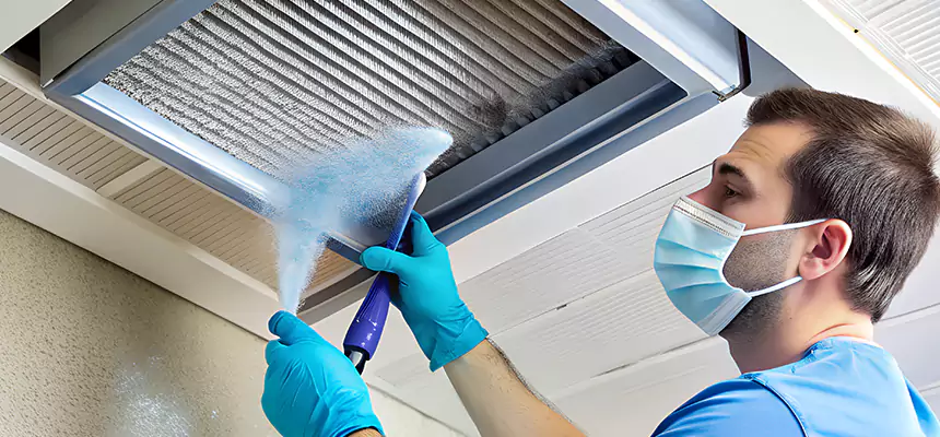 Proactive Dryer Vent & Auxiliary Duct Pollen Cleanup in South Lake Tahoe, CA