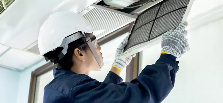 Our Mold & Mildew Removal from Air Ducts Services in South Lake Tahoe, CA