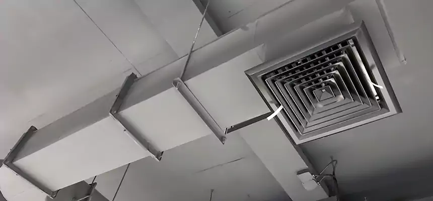 Our Pest Removal From Ducts Services in South Lake Tahoe, CA