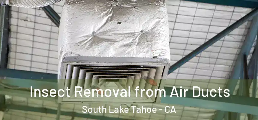  Insect Removal from Air Ducts South Lake Tahoe - CA