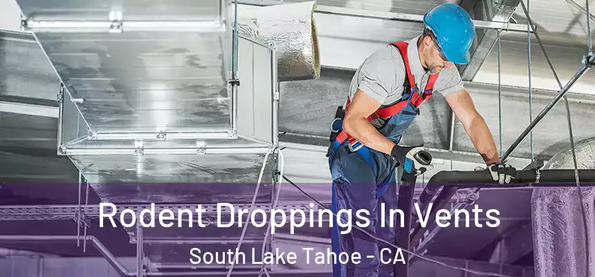  Rodent Droppings In Vents South Lake Tahoe - CA