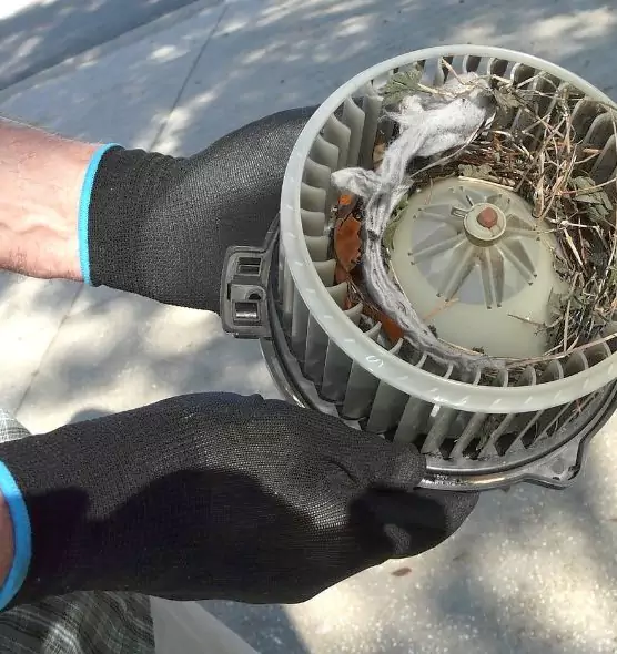 About Air Duct Mice Removal in South Lake Tahoe, CA