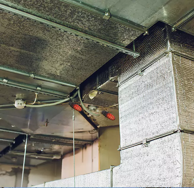 Why Homeowners & Businesses Trust Us in South Lake Tahoe, CA?