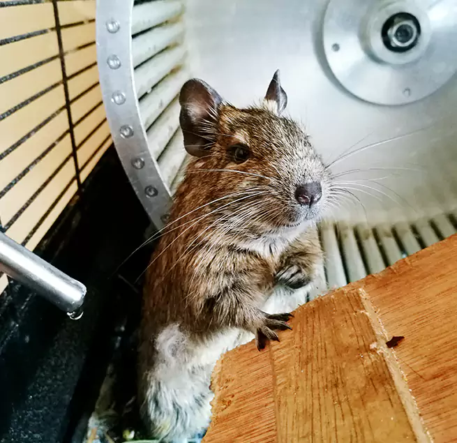 Why Homeowners & Businesses Trust Us South Lake Tahoe, CA?