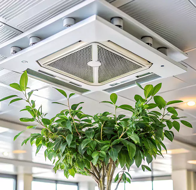 Why Homeowners & Businesses Trust Us in South Lake Tahoe, CA?