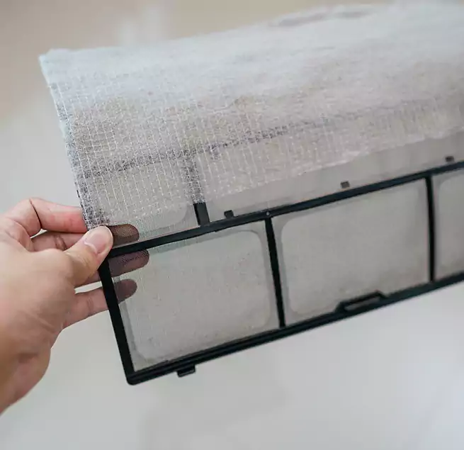 Why Homeowners & Businesses Trust Us in South Lake Tahoe, CA?