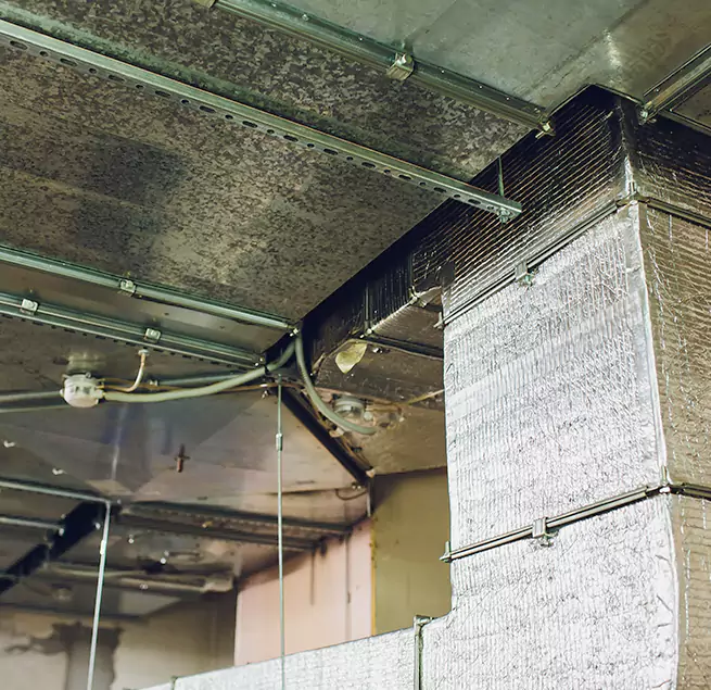 Why Homeowners & Businesses Trust Us in South Lake Tahoe, CA?